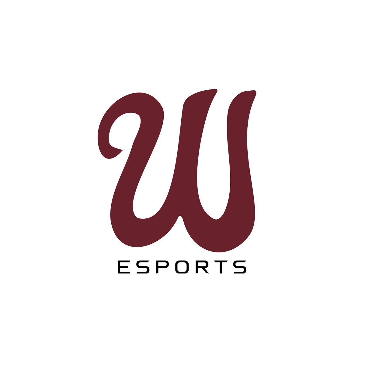 Wynnewood HS Esports