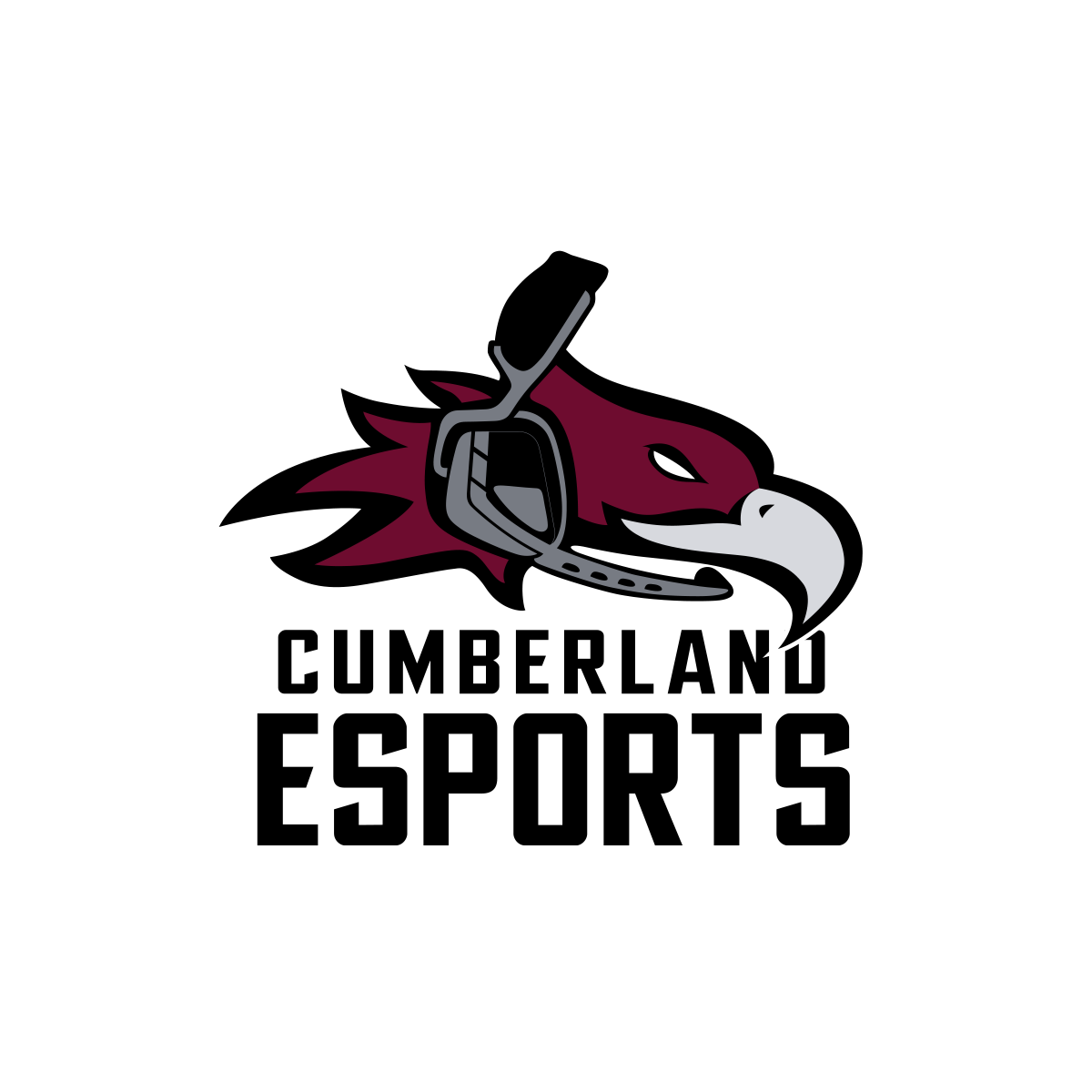 Cumberland University Esports Emerge Apparel