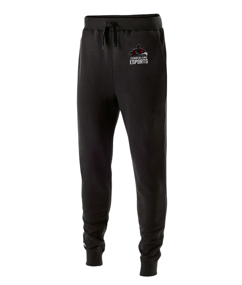 Cumberland University Esports Pro Joggers