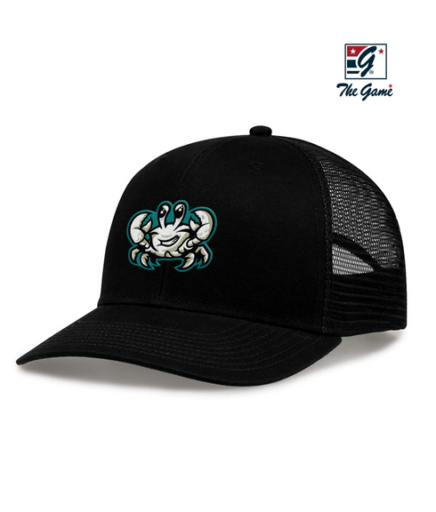 Cape Fear Ghost Crabs Black Logoed Snapback Trucker Hat
