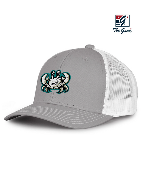 Cape Fear Ghost Crabs Gray Logoed Snapback Trucker Hat