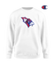 Nelson County HS Esports Pro Crewneck Sweatshirt