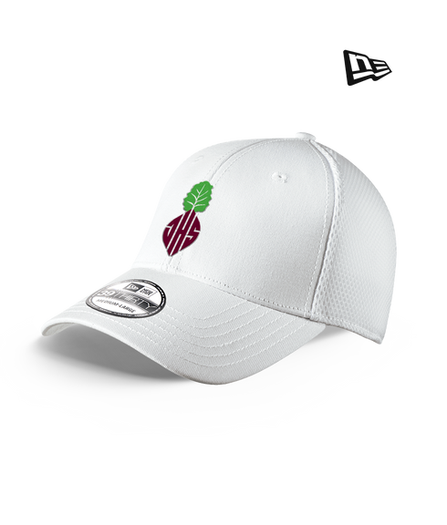Jordan HS Esports Fitted Hat