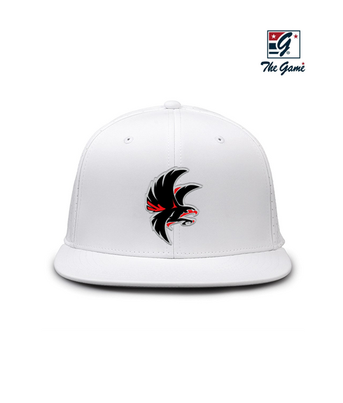Cranston Falcons Esports Perforated Game Changer Hat