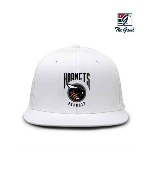 Hornets HS Esports Game Changer Hat