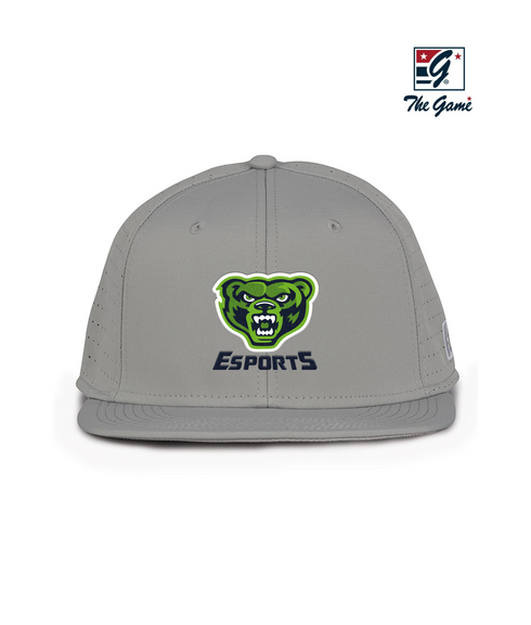 Riverbend HS Esports Perforated Game Changer Hat