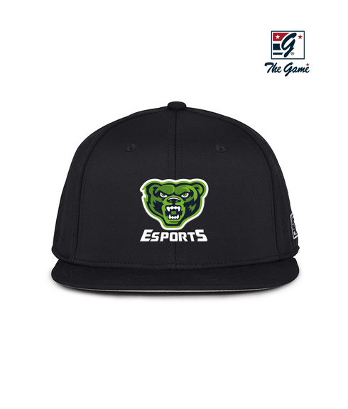 Riverbend HS Esports Perforated Game Changer Hat