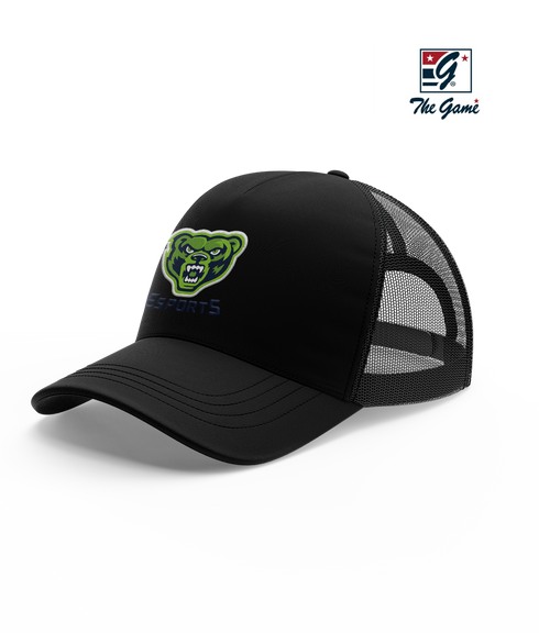 Riverbend HS Esports Snapback Hat