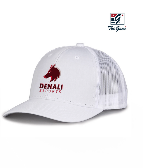Denali Esports Snapback Hat