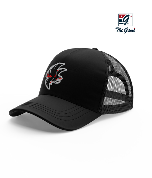 Cranston Falcons Esports Snapback Hat