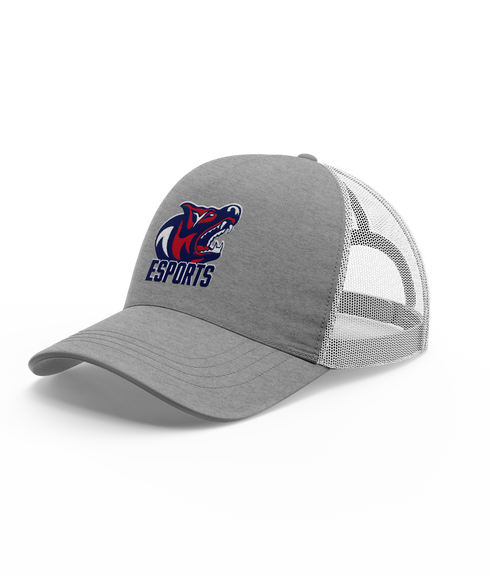 Chaparral Wolverine Esports Snapback Hat
