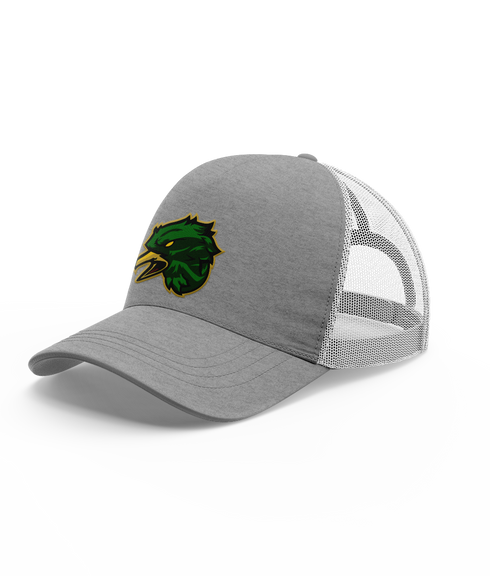 Mountain Vista HS Esports Hat