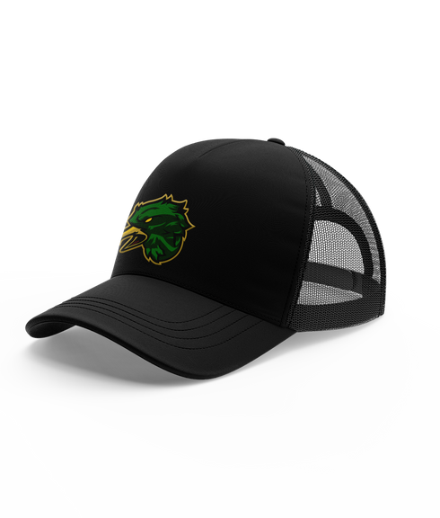 Mountain Vista HS Esports Hat
