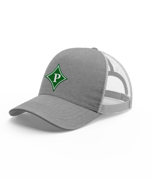 Pickens HS Esports Hat