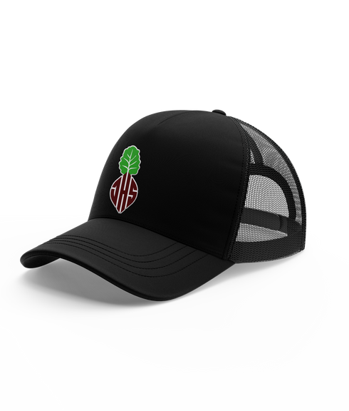 Jordan HS Esports Hat