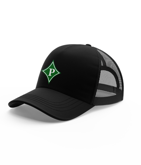 Pickens HS Esports Hat