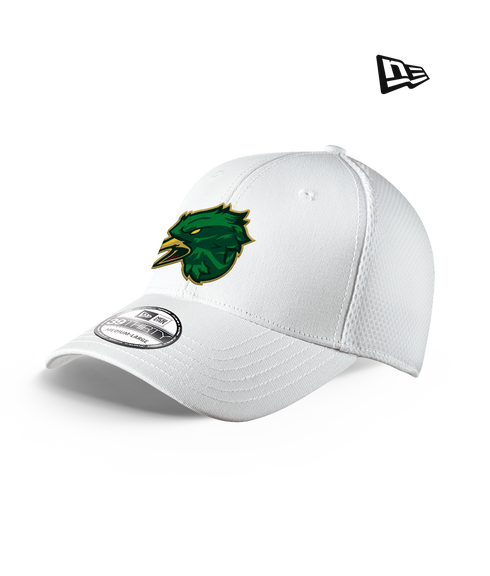 Mountain Vista HS Esports Fitted Hat