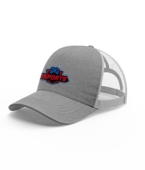MOCO HS Esports Pro Hat