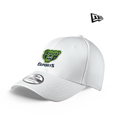 Riverbend HS Esports Fitted Hat