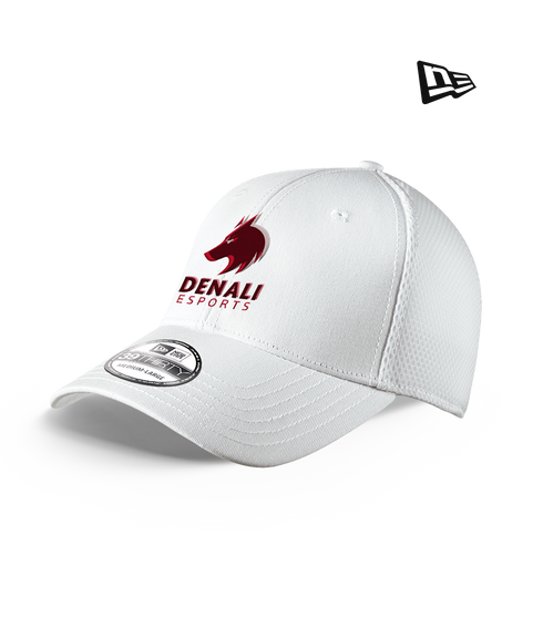 Denali Esports Fitted Hat