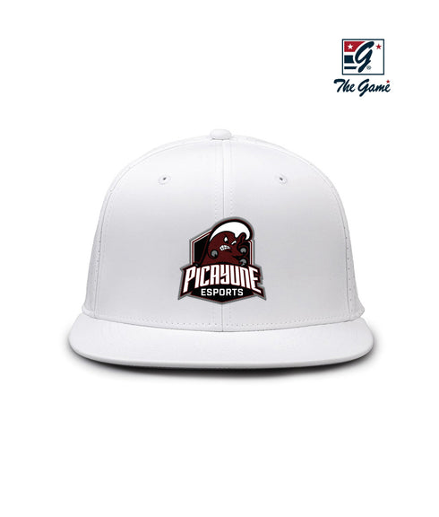Picayune HS Esports Perforated Game Changer Hat