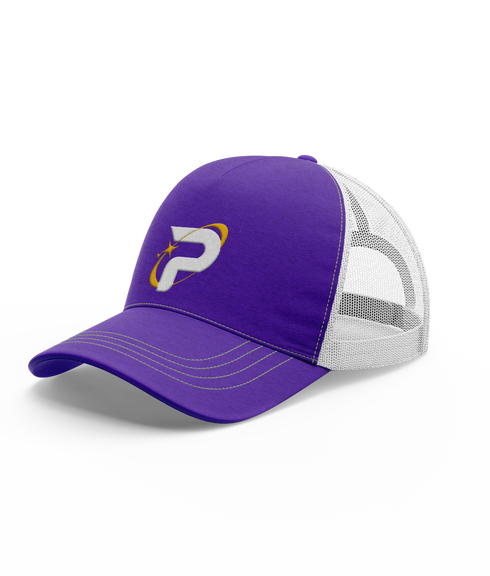 Prosperity Esports Snapback Hat