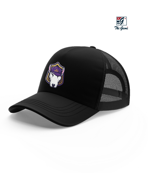 LSUA Esports Snapback Hat