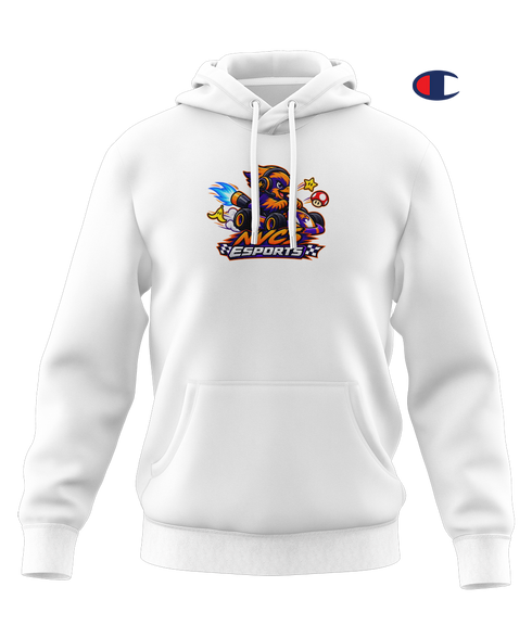 New Vision Charter School Esports Pro Hoodie