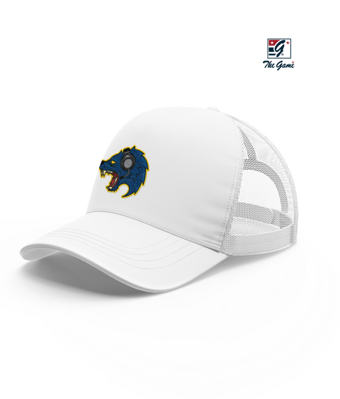 University of Michigan Flint Esports Snapback Hat