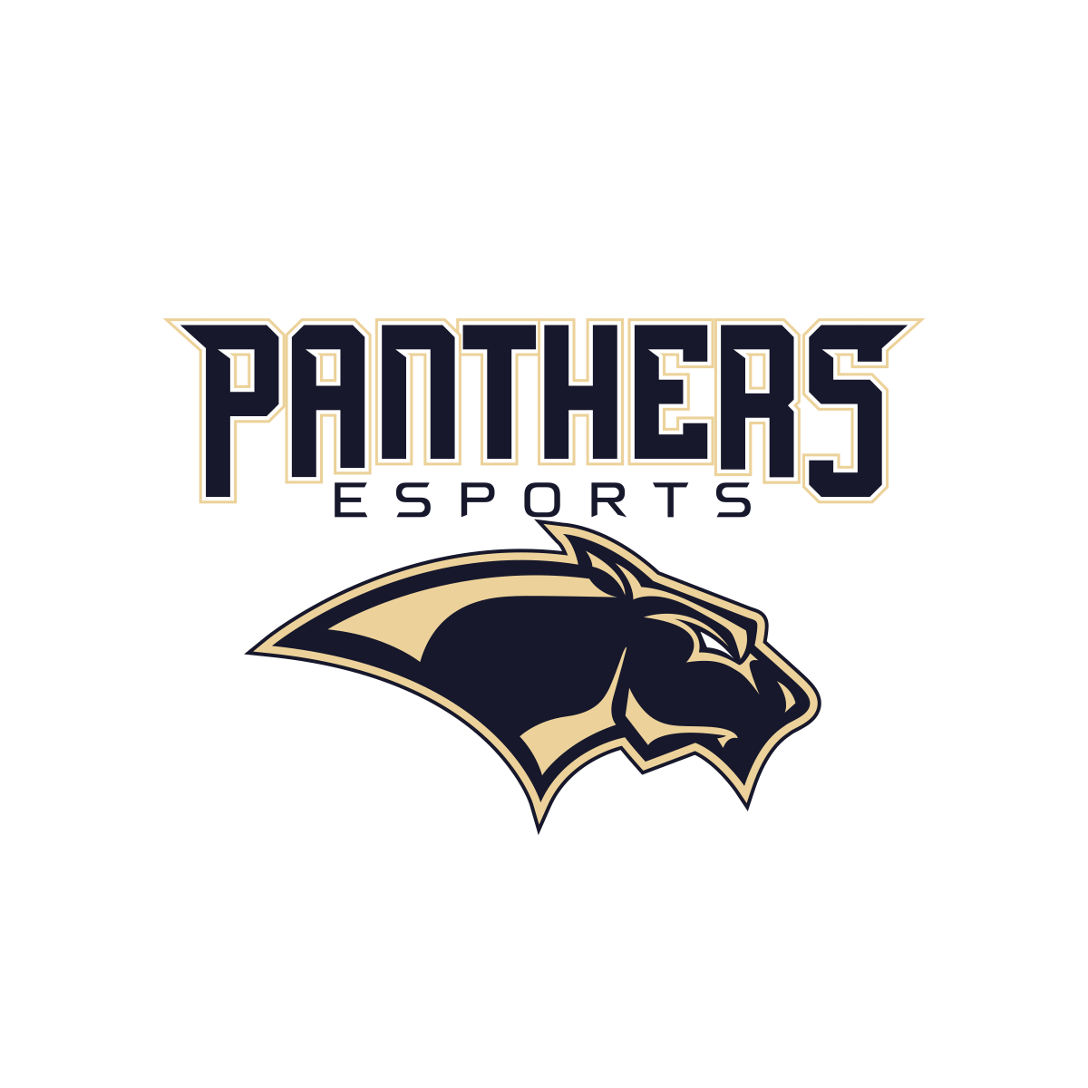 Franklin Panthers Esports – Emerge Apparel