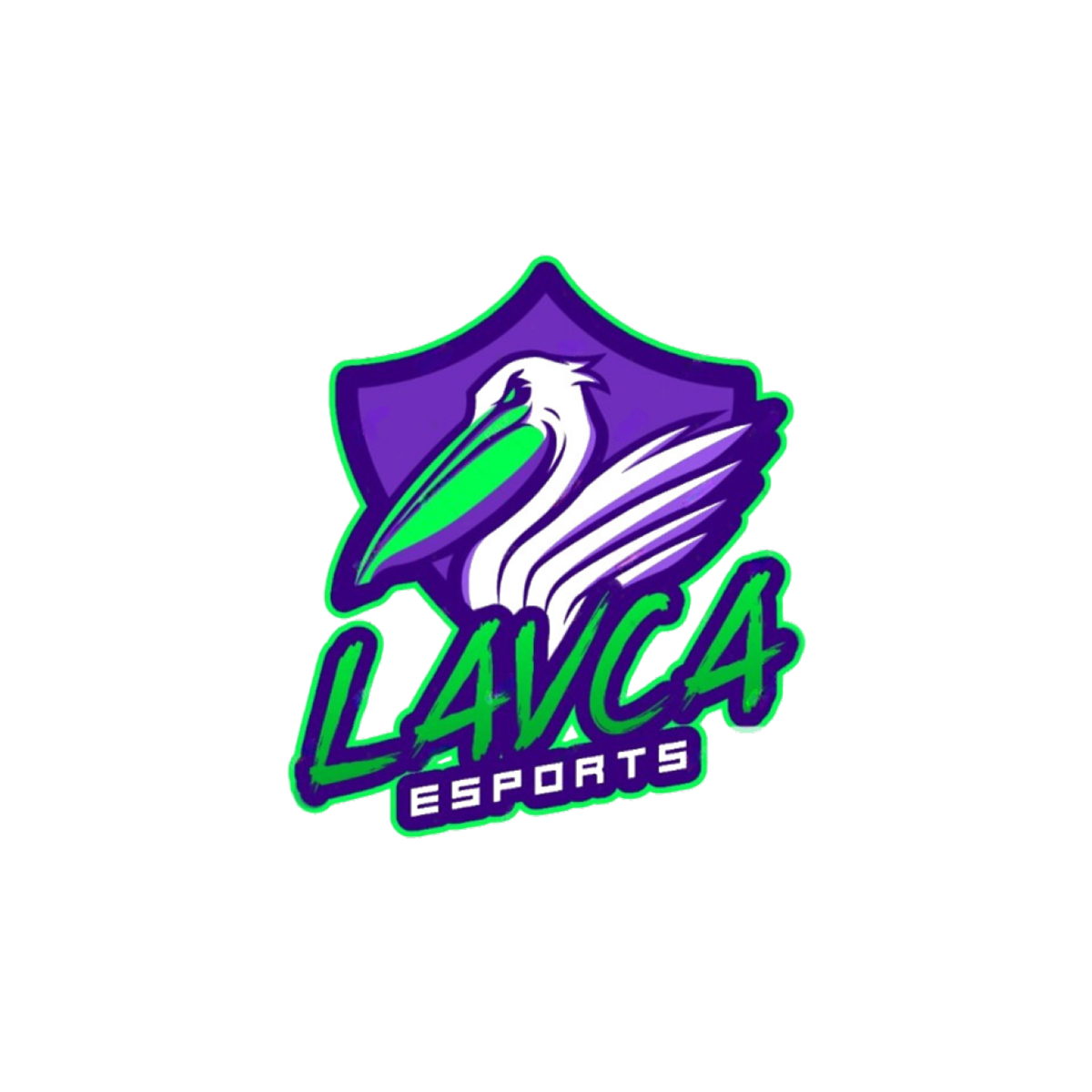 LAVCA Esports – Emerge Apparel