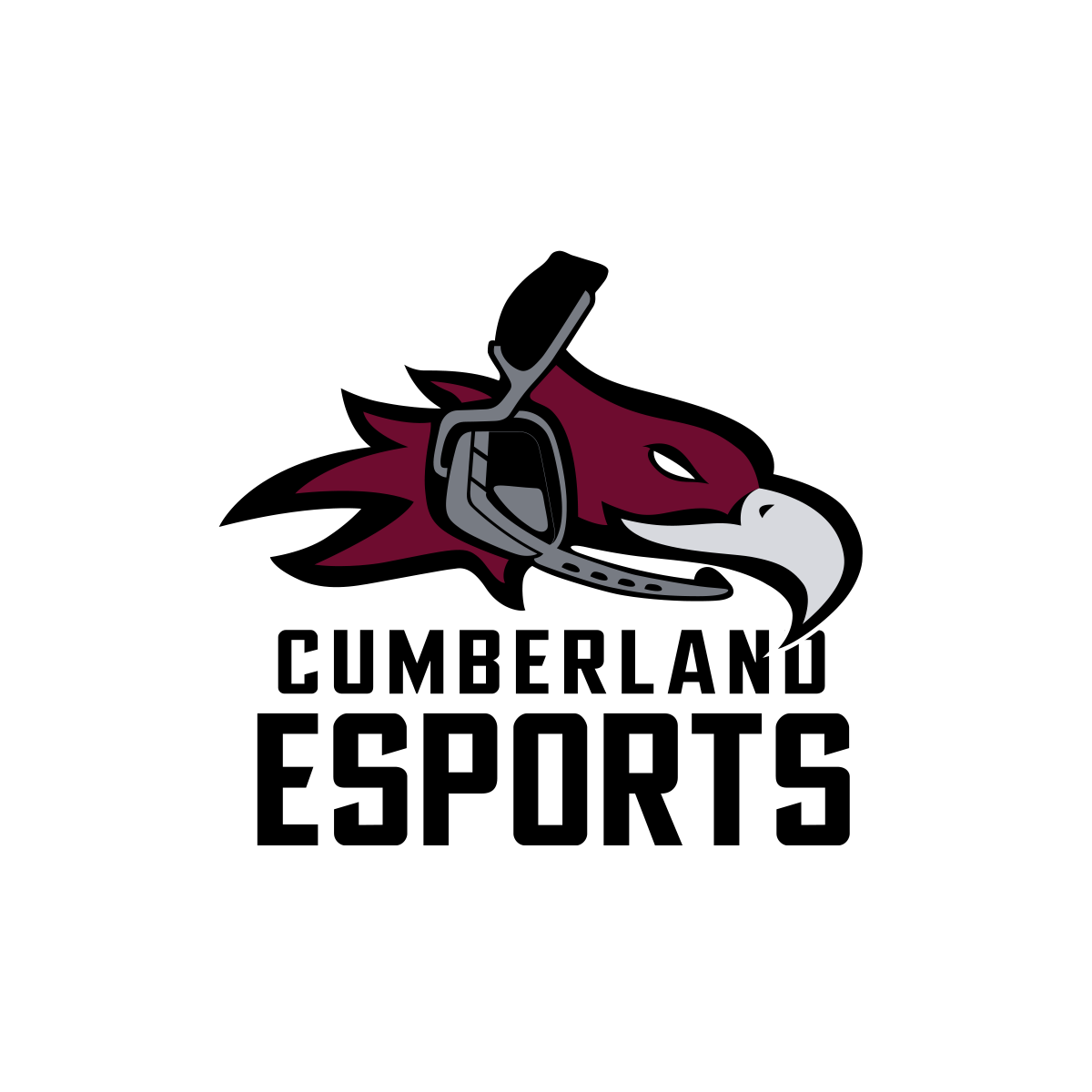 Cumberland University Esports