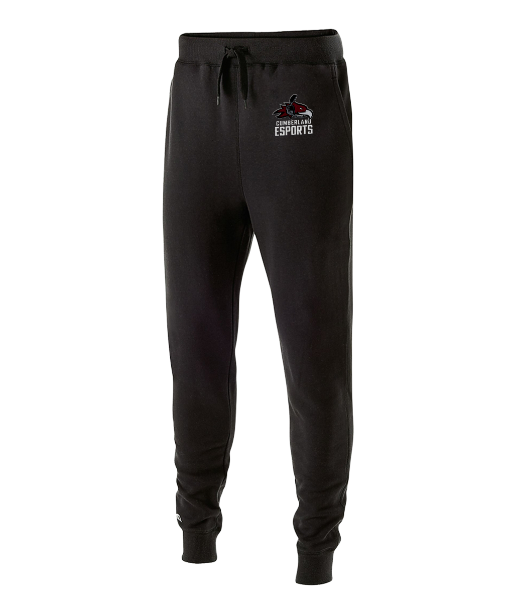 Cumberland University Esports Emerge Apparel