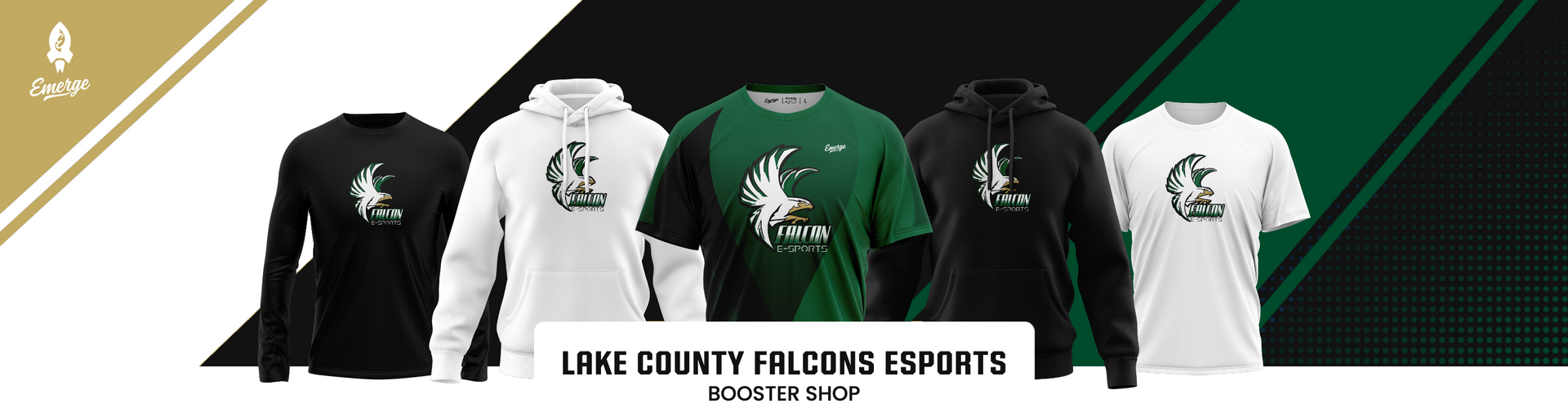 Lake County Falcons Esports
